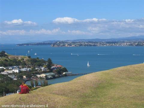 Golfo di Hauraki