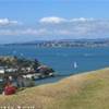 Golfo di Hauraki NUOVA ZELANDA 