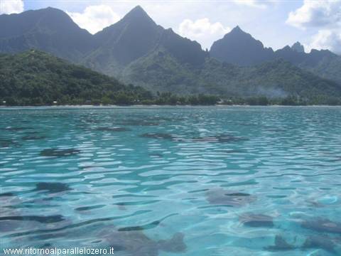 Spettacolare laguna di Moorea