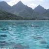 Spettacolare laguna di Moorea POLINESIA FRANCESE 