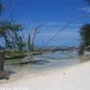 Spiaggetta nel Motu POLINESIA FRANCESE 