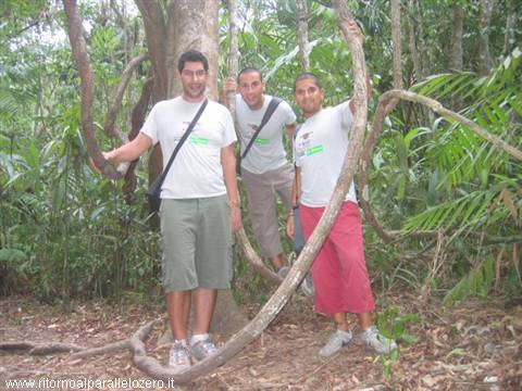 Tarzan tra le liane