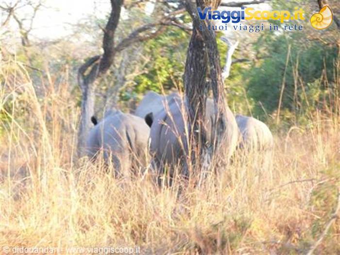 Foto di viaggio in SUD AFRICA
