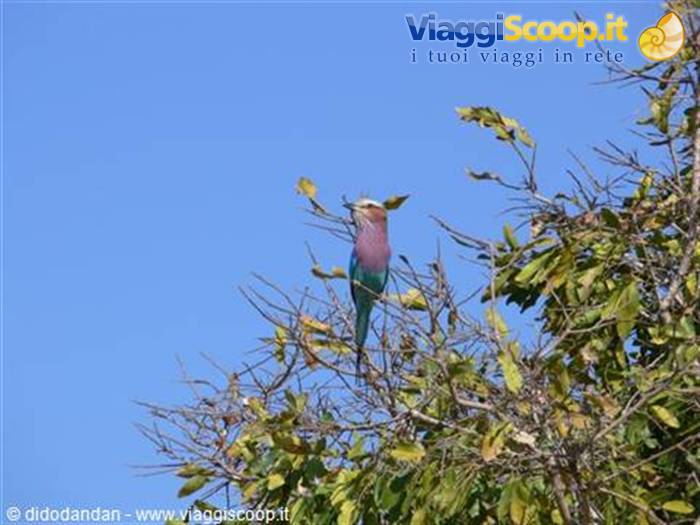 Foto di viaggio in SUD AFRICA