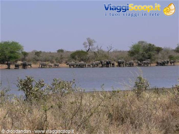 Foto di viaggio in SUD AFRICA