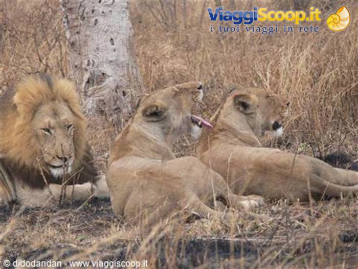 Foto di viaggio in SUD AFRICA