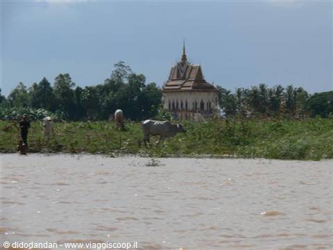 ASIA CAFE II : I MISTERI DI ANGKOR WAT