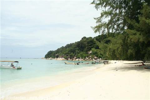 ASIA CAFE III : MALESIA VERDE E MALESIA BLU