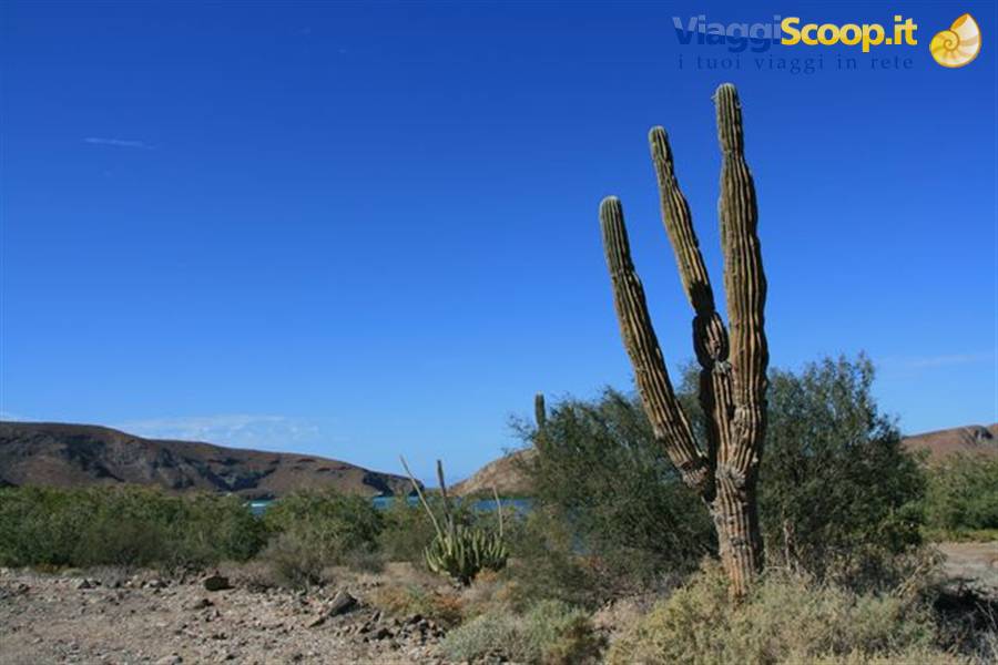 Foto di viaggio in MESSICO