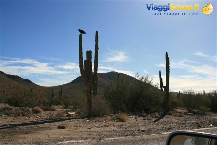 Foto di viaggio in MESSICO