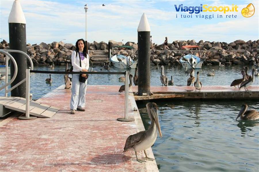 Foto di viaggio in MESSICO
