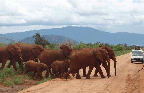 Tsavo Est