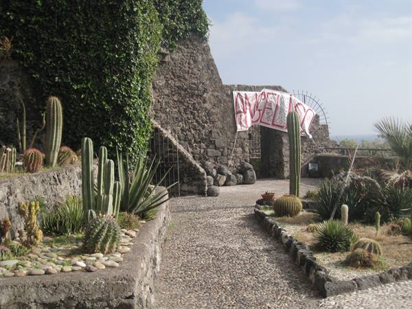 Orto Botanico