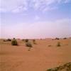 Safari Tour DESERT ADVENTURES TOURISM DUBAI EMIRATI ARABI UNITI 