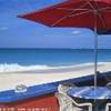 dal Royal Palms Beach Club/Reef Grill Seven Miles Grand Cayman  ISOLE CAYMAN 