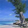 Seven Miles ISOLE CAYMAN 