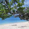 Cemetery Beach Grand Cayman ISOLE CAYMAN 