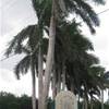 Welcom Queen Elizabeth II Botanic park ISOLE CAYMAN 