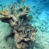 ISOLE CAYMAN 