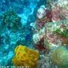  ISOLE CAYMAN 