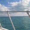 Escursione con Captain Marvin's ISOLE CAYMAN 