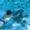 Barrier Reef ISOLE CAYMAN 