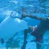  ISOLE CAYMAN 