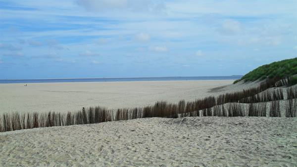texel