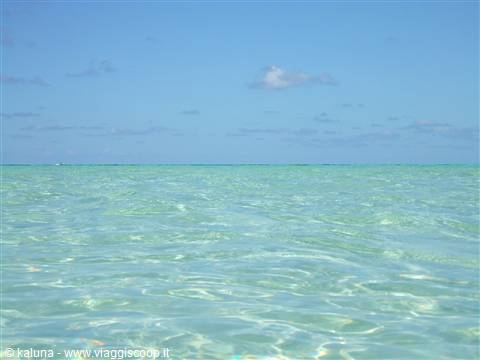 Il mare del Viva Fortuna