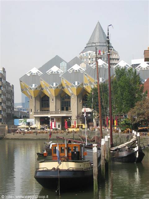 rotterdam case cubo