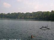 11 - Nuoto a Boeng Yeak Lom