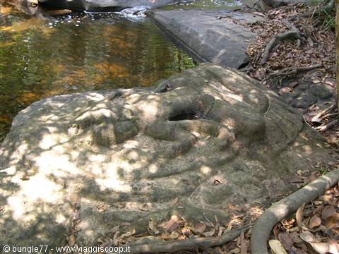 22 - Kbal Spean - Bassorilievo 2