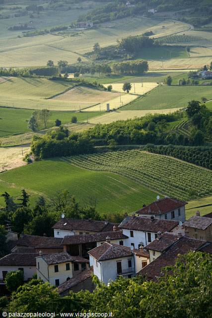 campagna del monferrato