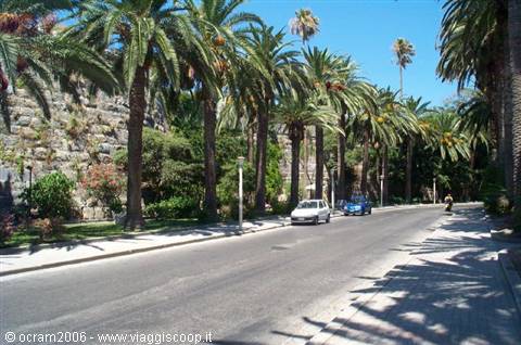 il bellissimo viale delle pallme