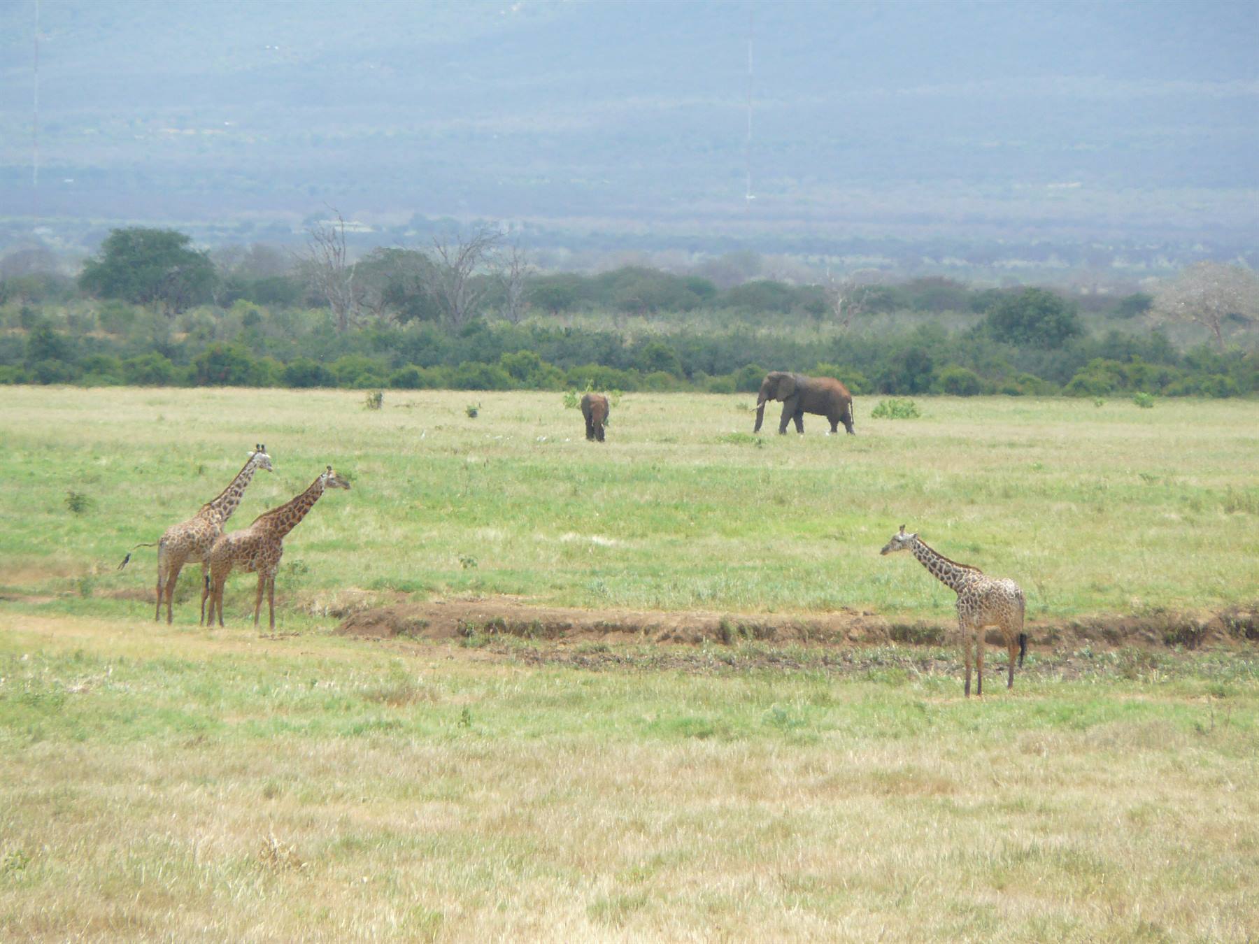 Foto di viaggio in KENYA