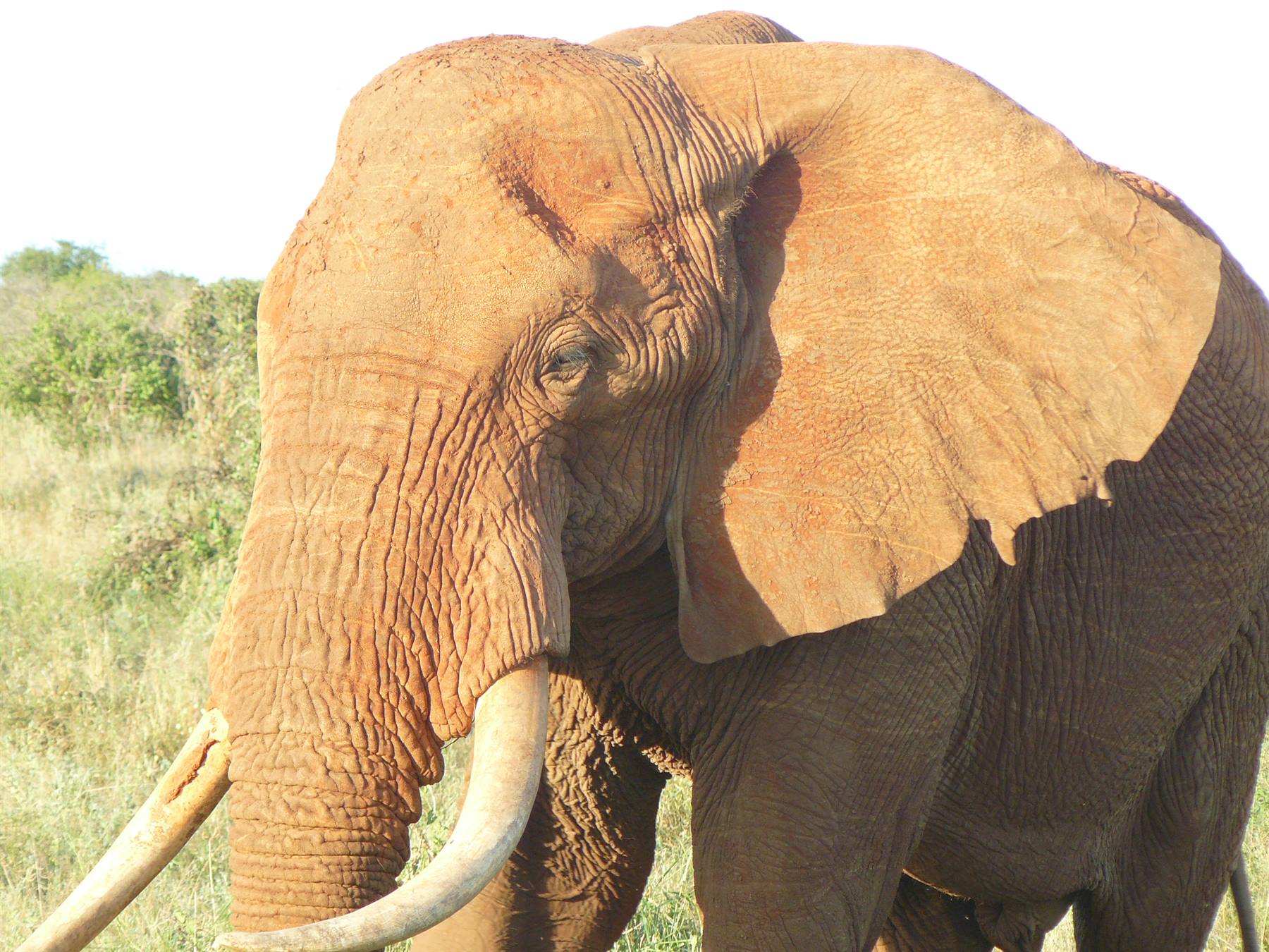 Foto di viaggio in KENYA