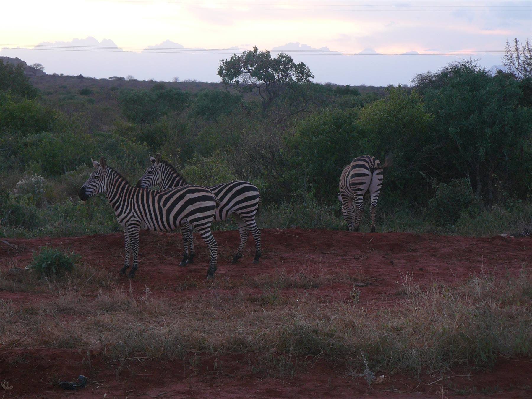 Foto di viaggio in KENYA