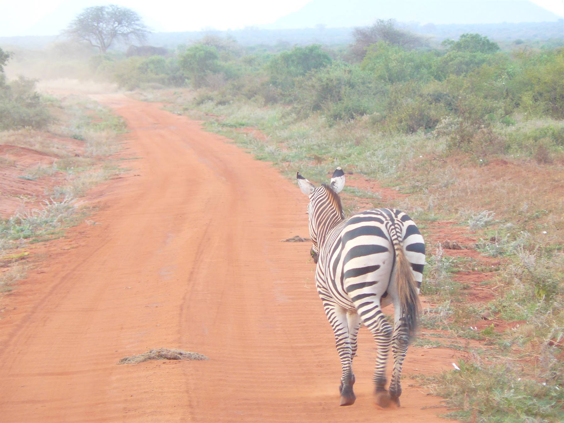 Foto di viaggio in KENYA
