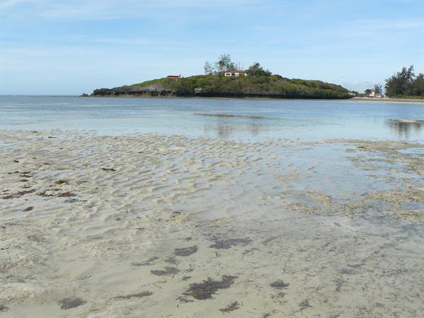 Watamu con bassa marea