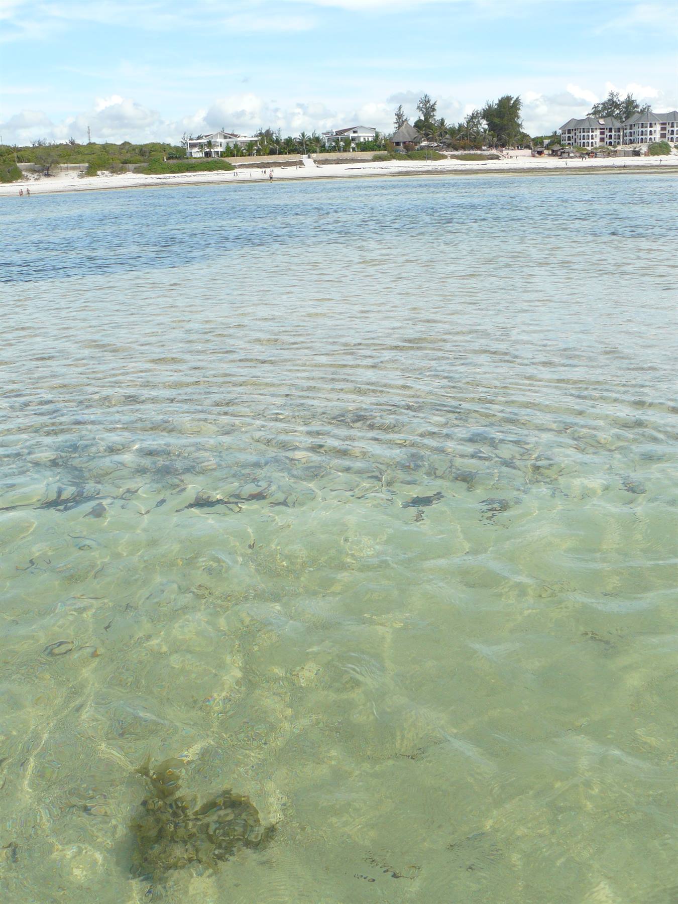 watamu