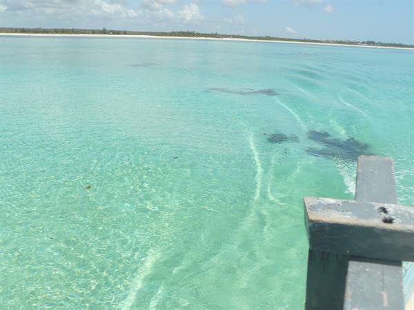 malindi verso le piscine naturali