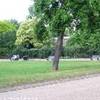 Hyde park particolare REGNO UNITO 