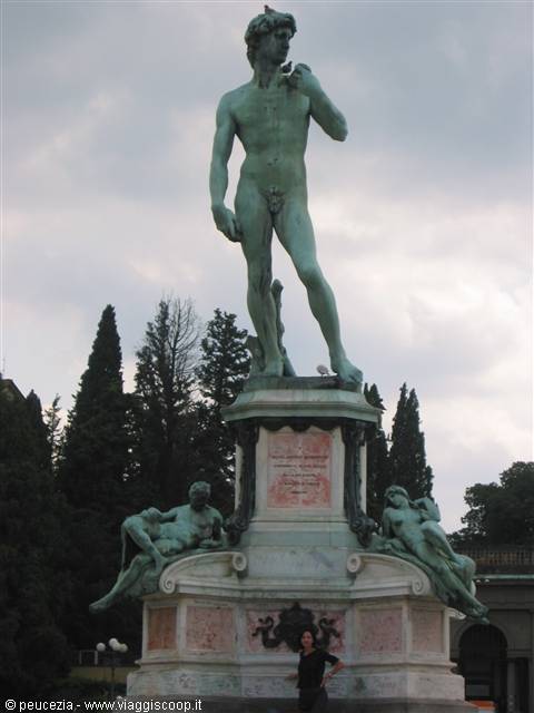 il DAVID P.LR MICHELANGELO