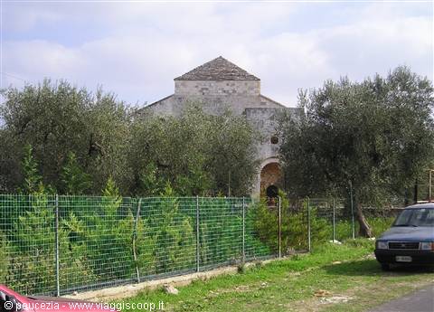 abbazia di Ognissanti circondata dagli ulivi