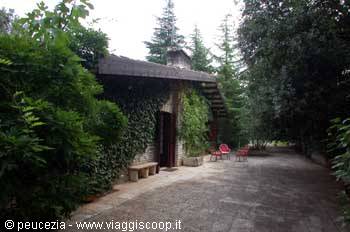 la selva di Fasano