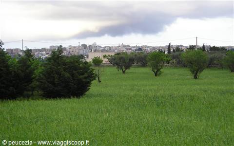 Primo maggio in Valle d'Itria