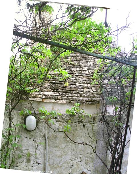 ancora un trullo allo stato brado