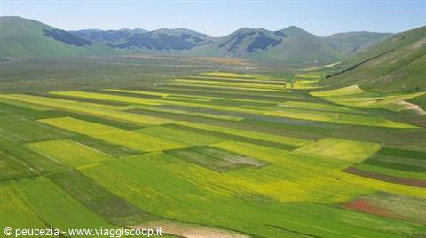 la piana di Castelluccio