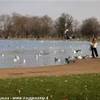 round Pond REGNO UNITO 