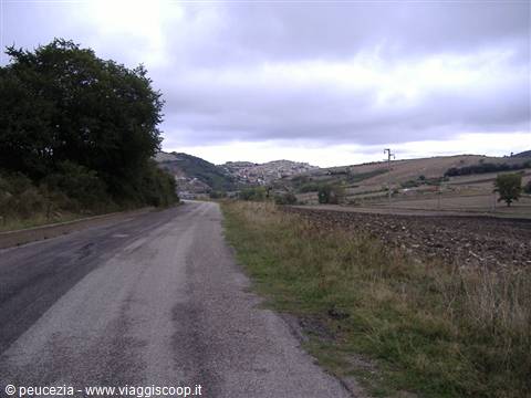 panorama